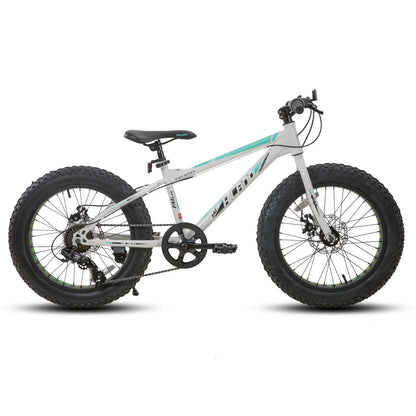 Hiland 20 Inch Kids' Bicycles Fat Tire Mountain Bike for  Age 5 + Years, Shimano 7-Speed, Dual-Disc Brake,Kids BeachBicycle