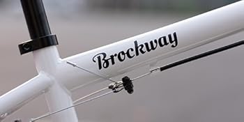 JOYSTAR Brockway Freestyle Kids BMX Bikes Kids Bicycles for 6-14 Years Old Boys Girls and Beginner-Level Riders 2 Pegs