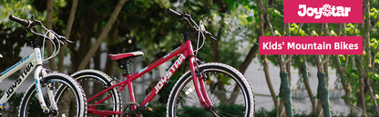 JOYSTAR Lubbock 20 Inch Kids Bike for Boys & Girls Ages 7-10 Years 20" Hardtail Mountain Bike with Steel Frame